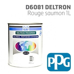 Peinture PPG D6081